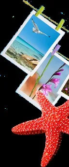 Оформлення фотокниги під ключ розміщення