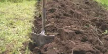 Органічне землеробство на дачі органічне