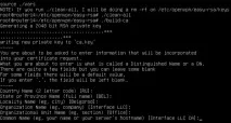 Організація каналів між офісами за допомогою OpenVPN на платформі Linux - Записки IT фахівця каналів