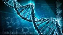 Засновники системи життя планети Земля планети