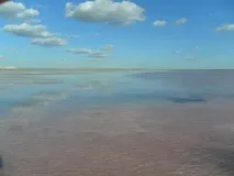 блог
