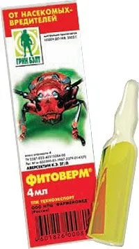 Павутинний кліщ кліщ
