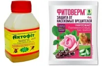 Павутинний кліщ на огірках як боротися і позбавитись - Боротьба з домашніми паразитами від А до Я павутинний