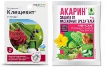 Павутинний кліщ на огірках як боротися і позбавитись - Боротьба з домашніми паразитами від А до Я павутинний