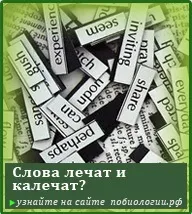 система
