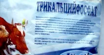 Чому курчата падають на ноги, у чому це проявляється курчата