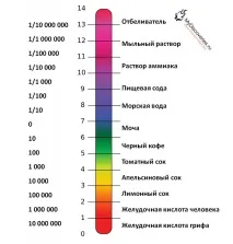 Чому грифи можуть їсти падаль грифи