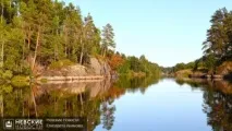 На думку екологів, усі водоймища Ленобласті можна повністю очистити. водоймища