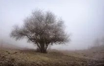 поїздка