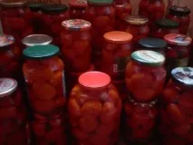 помідори