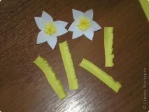 Проліски для мами паперу