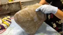 Майстер-клас для початківців валяємо сумку сумку