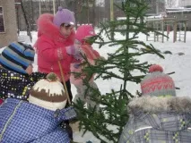 Майстер-клас «Кольорові крижинки» кольорові