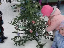 Майстер-клас «Кольорові крижинки» кольорові