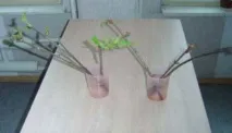 негативного