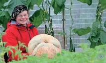 селекціонери