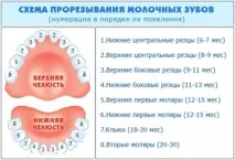 Порядок прорізування зубів у немовлят - графік, симптоми, можливі проблеми зубів