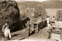 старовіри