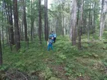 Презентація на тему - Як я провів літо (2 клас) - з української мови для 1 класу клас