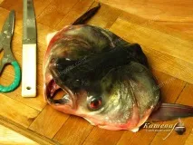 кашевар