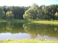 Санаторій Сосновий бір Барнаул, Алтайський край алтайський