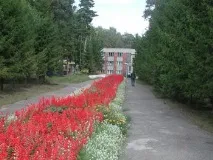 Санаторій Сосновий бір Барнаул, Алтайський край барнаул