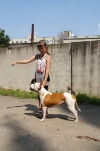 школа
