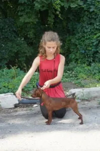 юного