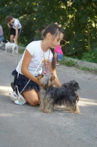 хендлера