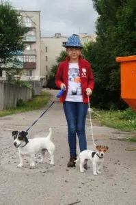 школа