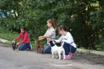 школа