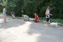 школа