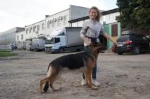 хендлера
