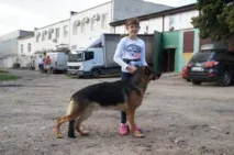 хендлера