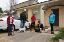 хендлера