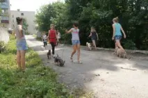 хендлера