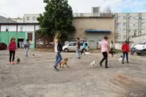 школа