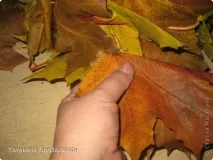 свято