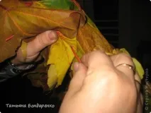 відпочинок