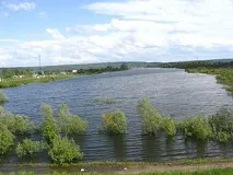 Сінна Куря куря