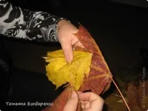 листя
