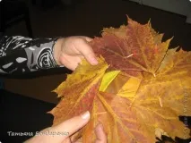 свято