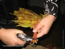 відпочинок