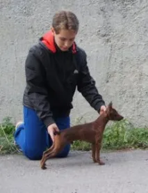школа