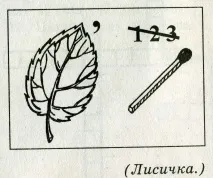 6-му