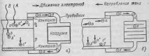 клетки