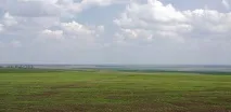 Сиртова рівнина в Саратовській області - Сад Серв’є області