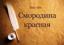 Сонник Червона Смородина їсти збирати бачити уві сні до чого сниться смородина