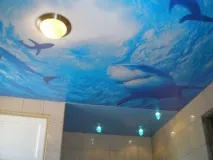 кольорів