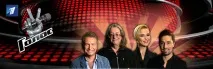 Кошти від голосування глядачів у проекті «Голос» на Першому каналі - Зроблено у нас кошти